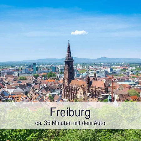 Naturverliebt Ideal Fuer Familien Direkt An Wanderwegen Sauna Im Haus Spielzimmer Tiefgarage E-ladestation Apartment Todtnauberg