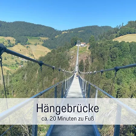 Naturverliebt Ideal Fuer Familien Direkt An Wanderwegen Sauna Im Haus Spielzimmer Tiefgarage E-ladestation Apartment Todtnauberg