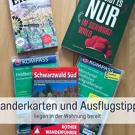 Naturverliebt Ideal Fuer Familien Direkt An Wanderwegen Sauna Im Haus Spielzimmer Tiefgarage E-ladestation Todtnauberg
