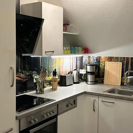 Naturverliebt Ideal Fuer Familien Direkt An Wanderwegen Sauna Im Haus Spielzimmer Tiefgarage E-ladestation Apartment