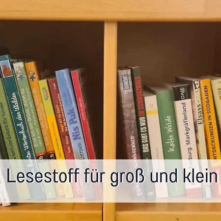 Naturverliebt Ideal Fuer Familien Direkt An Wanderwegen Sauna Im Haus Spielzimmer Tiefgarage E-ladestation Apartment *